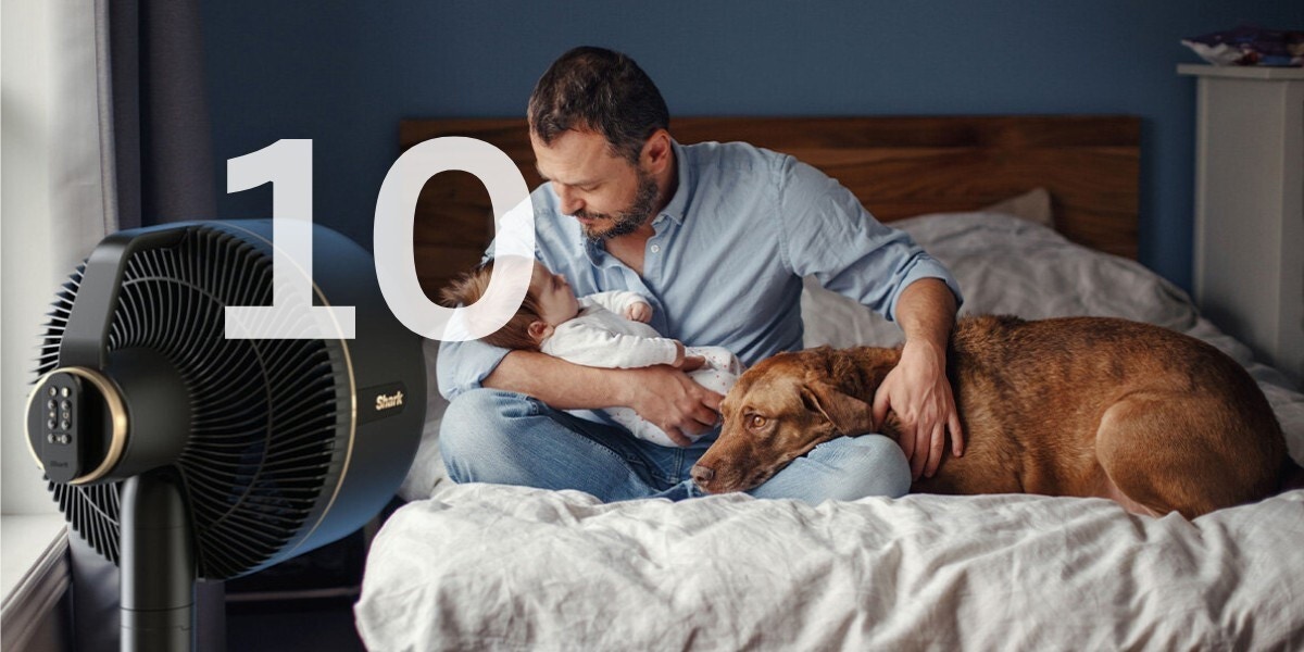 Image featured in the Appliances Online blog