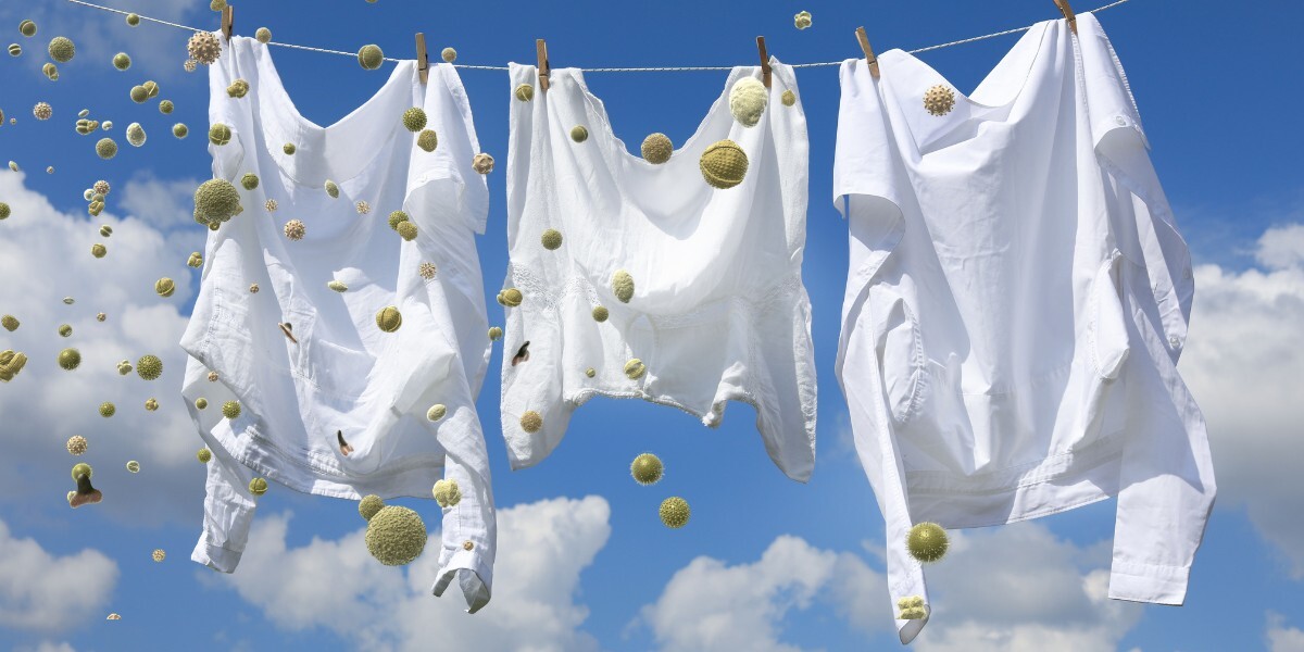 Image featured in the Appliances Online blog