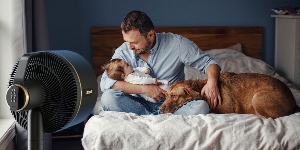 Image featured in the Appliances Online blog