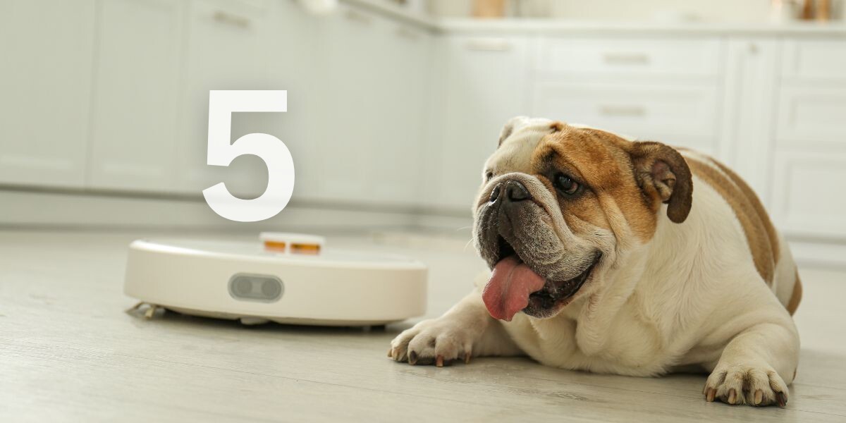 Image featured in the Appliances Online blog