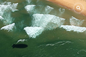 Photo taken from the Legend Blimp