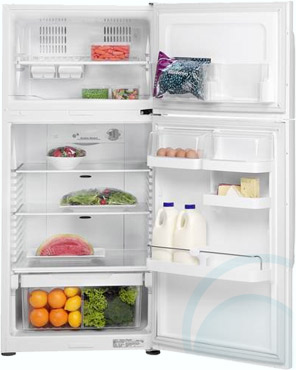 fisher and paykel fridge making loud noise