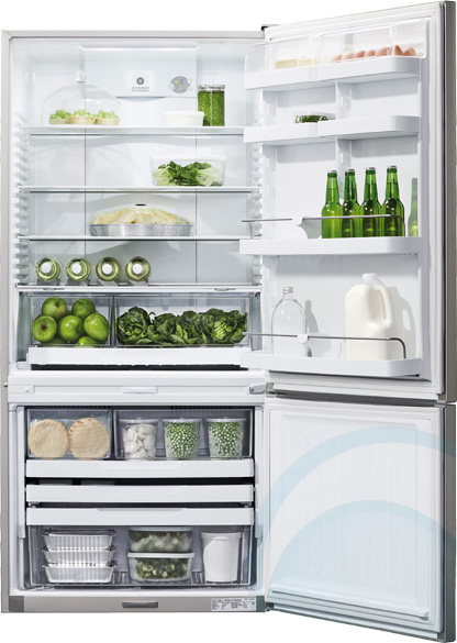 519l Fisher Paykel Fridge E5 Appliances Online