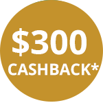 Zip Dec25 300 Cashback