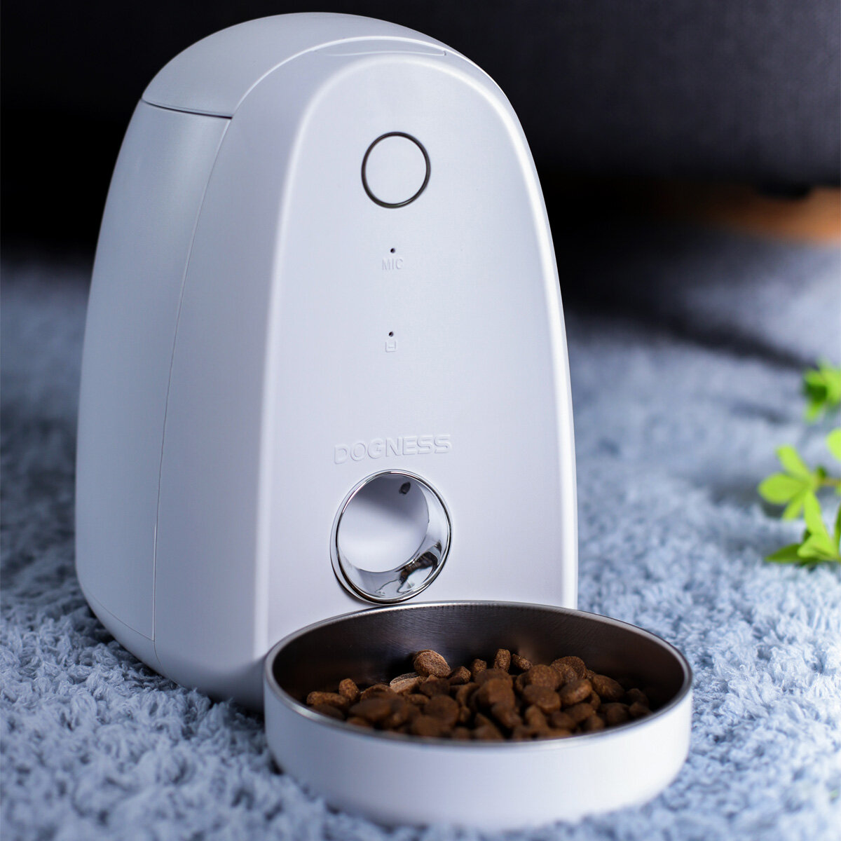 dogness automatic feeder