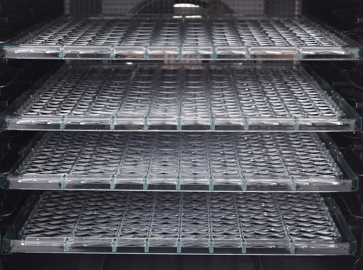 NEW Sunbeam DT6000 Food Lab Food Dehydrator 9311445021972 eBay