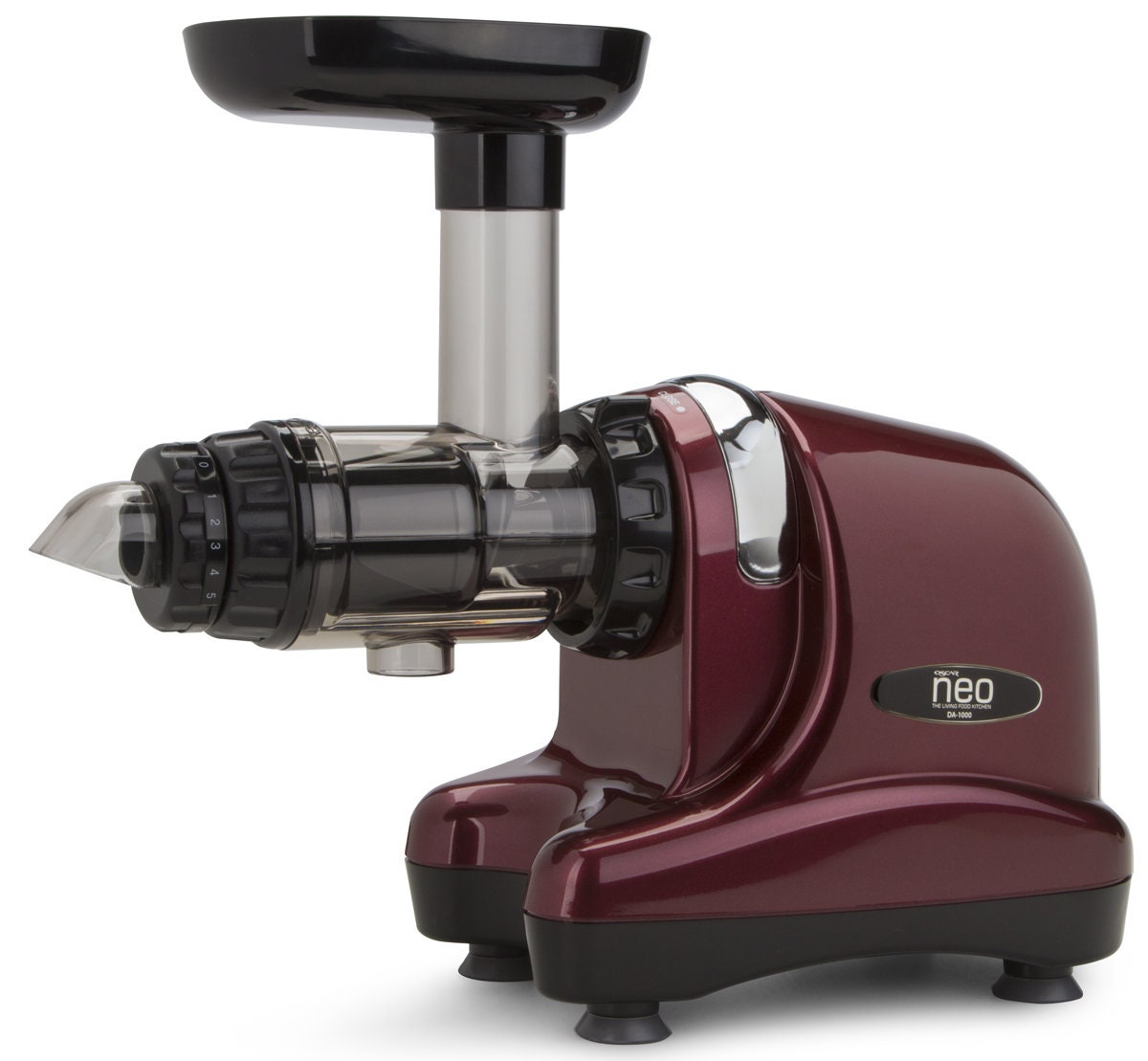 raven slow juicer