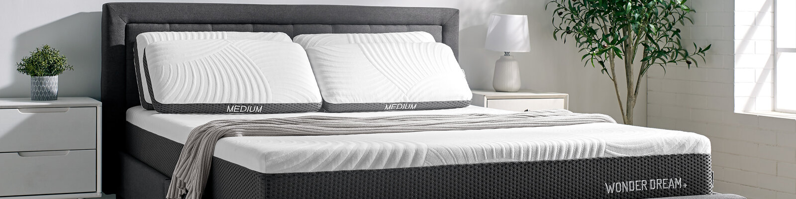 Universe Bed Co.