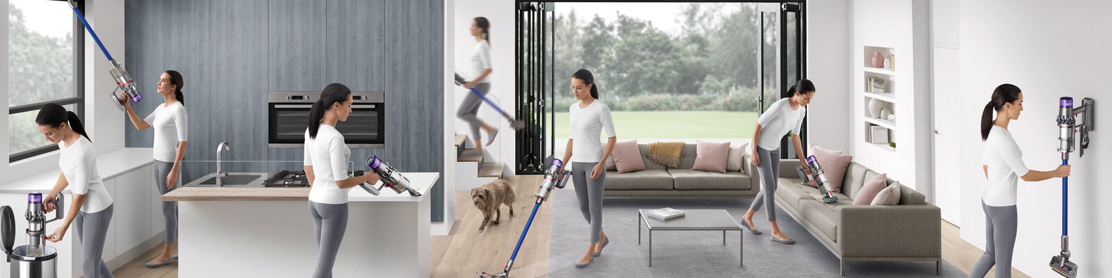 Dyson V11