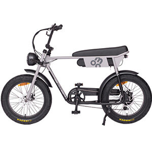 Electric Bikes
