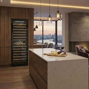 Dual Zone Wine Fridges