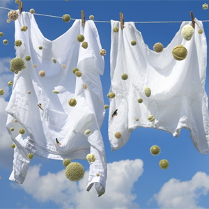 How indoor drying helps manage allergies