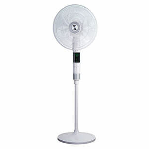 Pedestal Fans