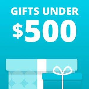 Gifts Under $500