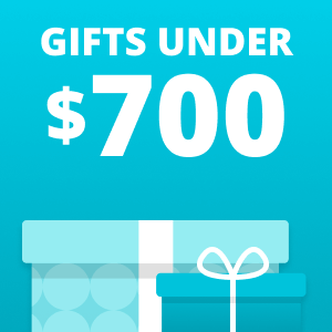 Gifts Under $700