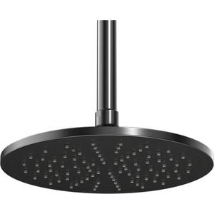 Shower Roses & Shower Heads